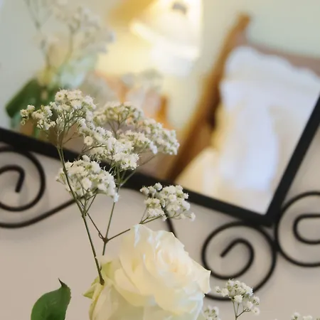 Bed & Breakfast La Fenice