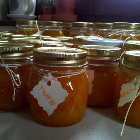 La Fenice ベッド・アンド・ブレックファスト