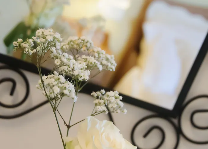 Bed & Breakfast La Fenice