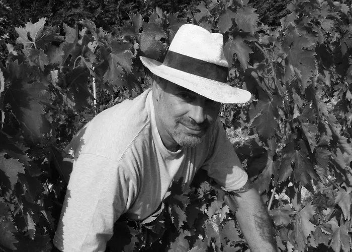 La Fenice Bed & Breakfast Montegridolfo