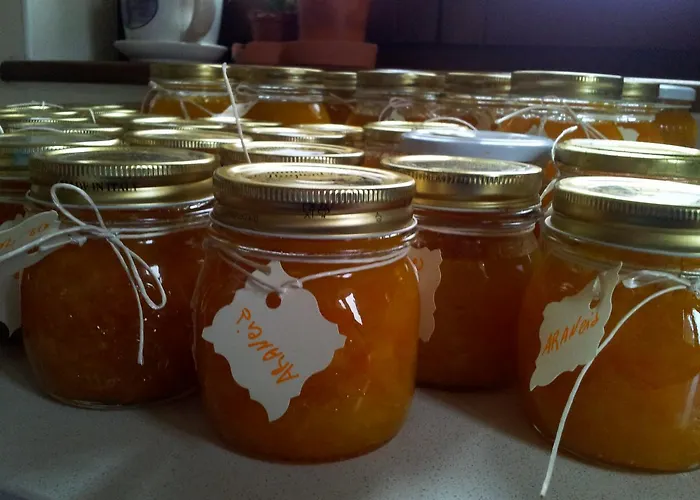 La Fenice Bed & Breakfast